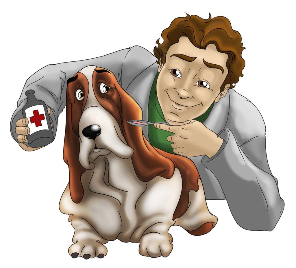 veterinary-1529191_1280